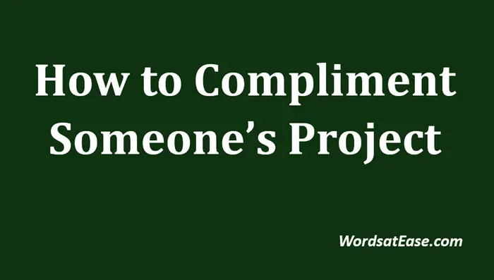 how to compliment someone's project