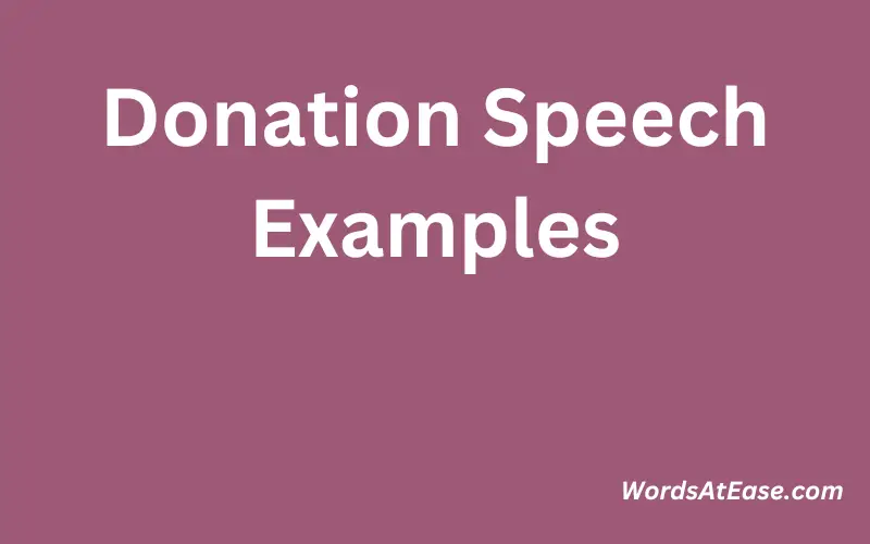 Donation Speech Examples