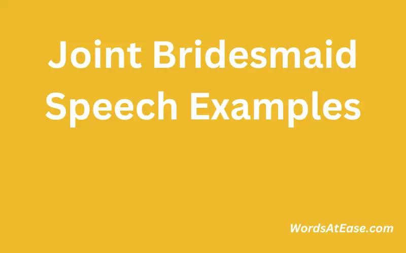 Joint Bridesmaid Speech Examples