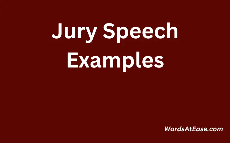 Jury Speech Examples