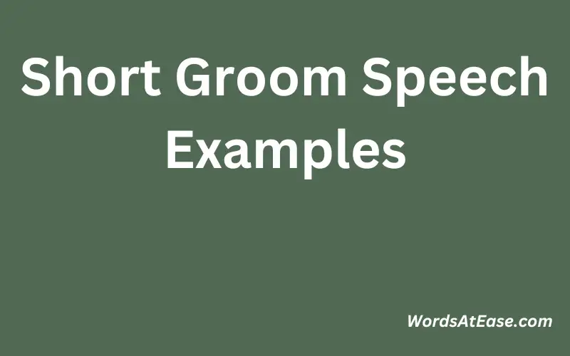 Short Groom Speech Examples