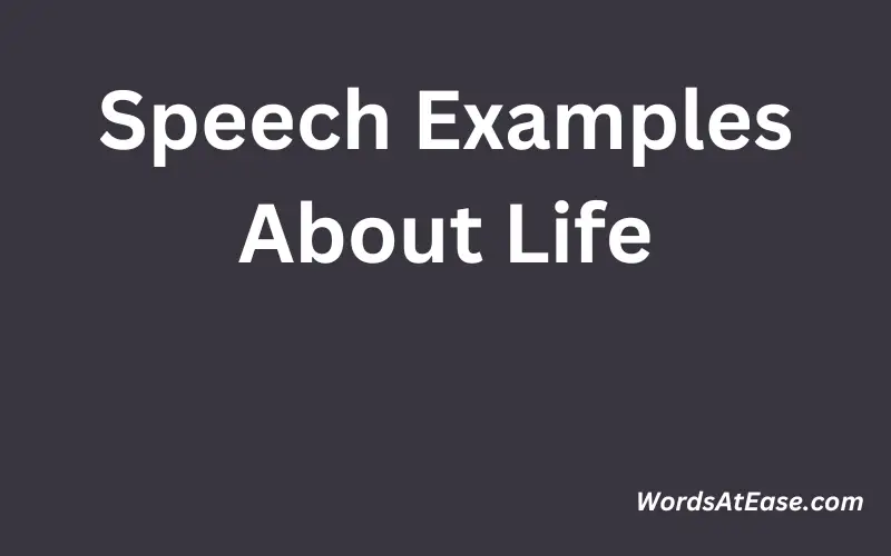 Speech Examples About Life