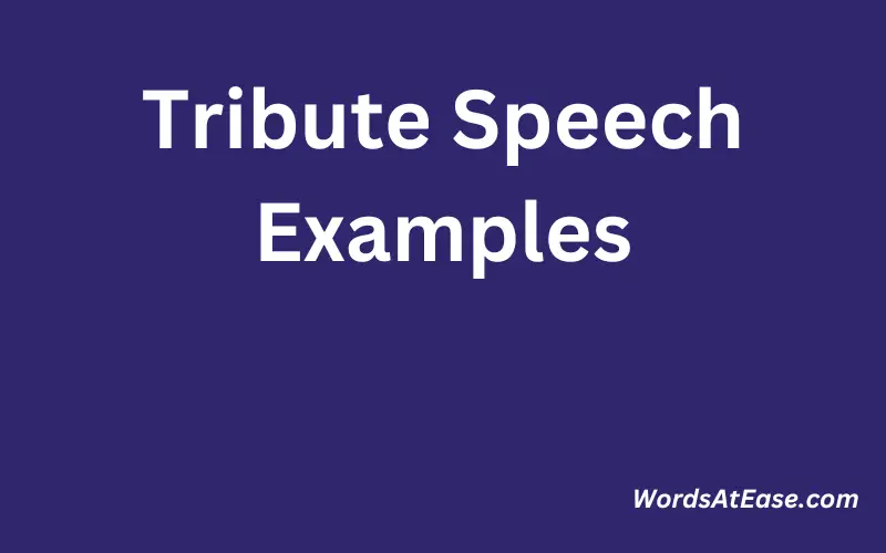 Tribute Speech Examples