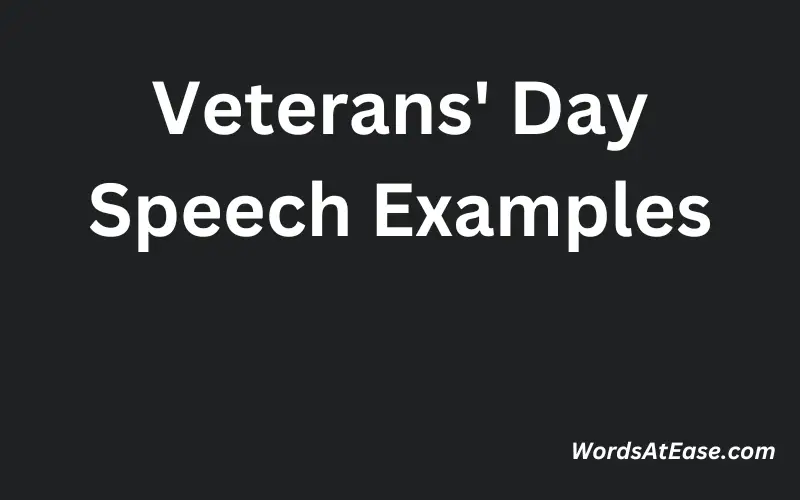 Veterans' Day Speech Examples