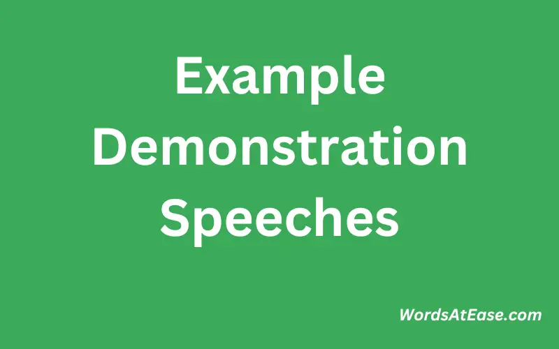 Example Demonstration Speeches