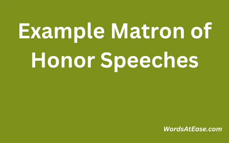 Example Matron of Honor Speeches